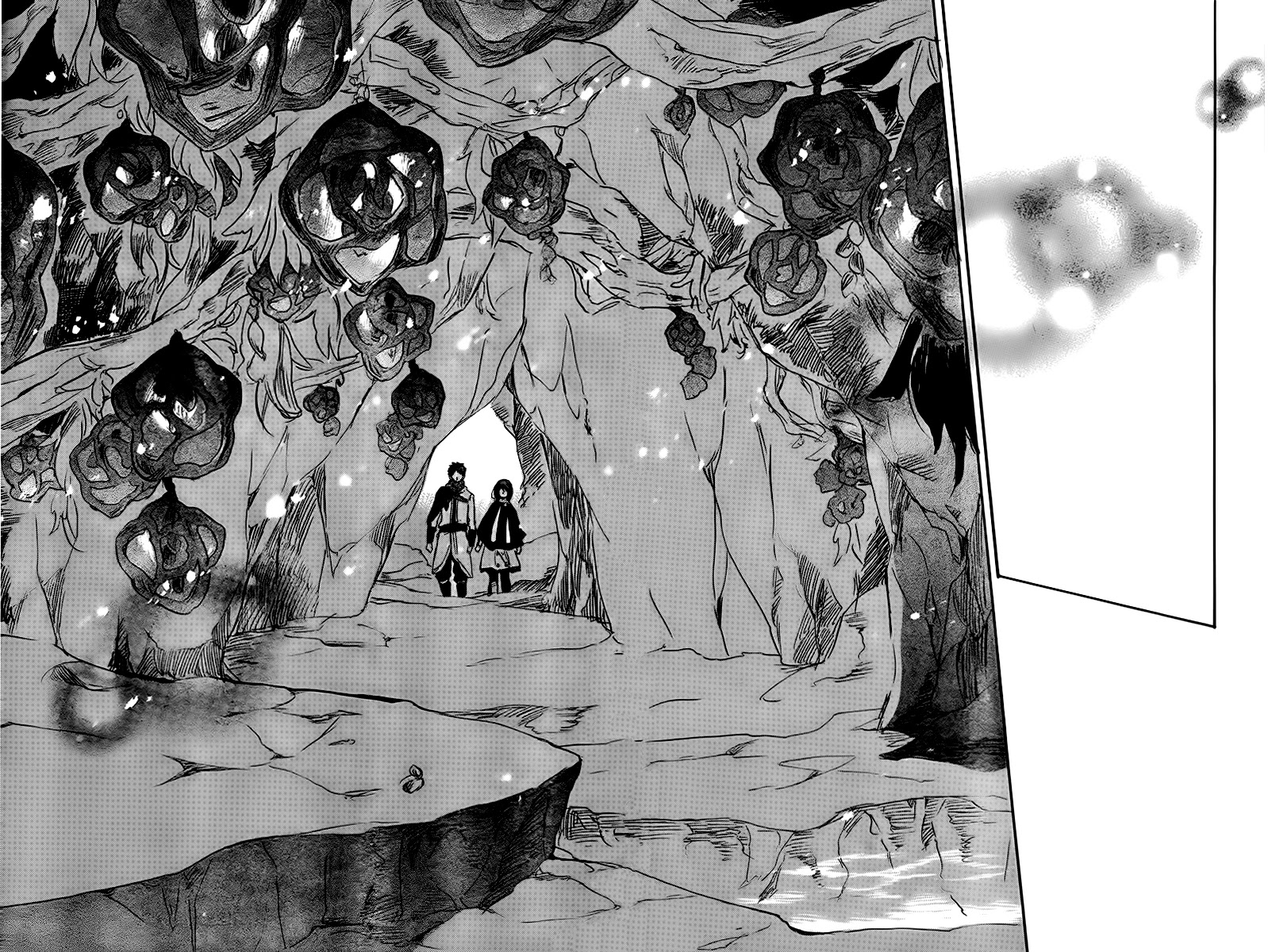 Akagami no Shirayukihime Chapter 38 page 39 - Chapter 38