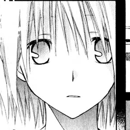 Akagami no Shirayukihime Chapter 4.5 cover
