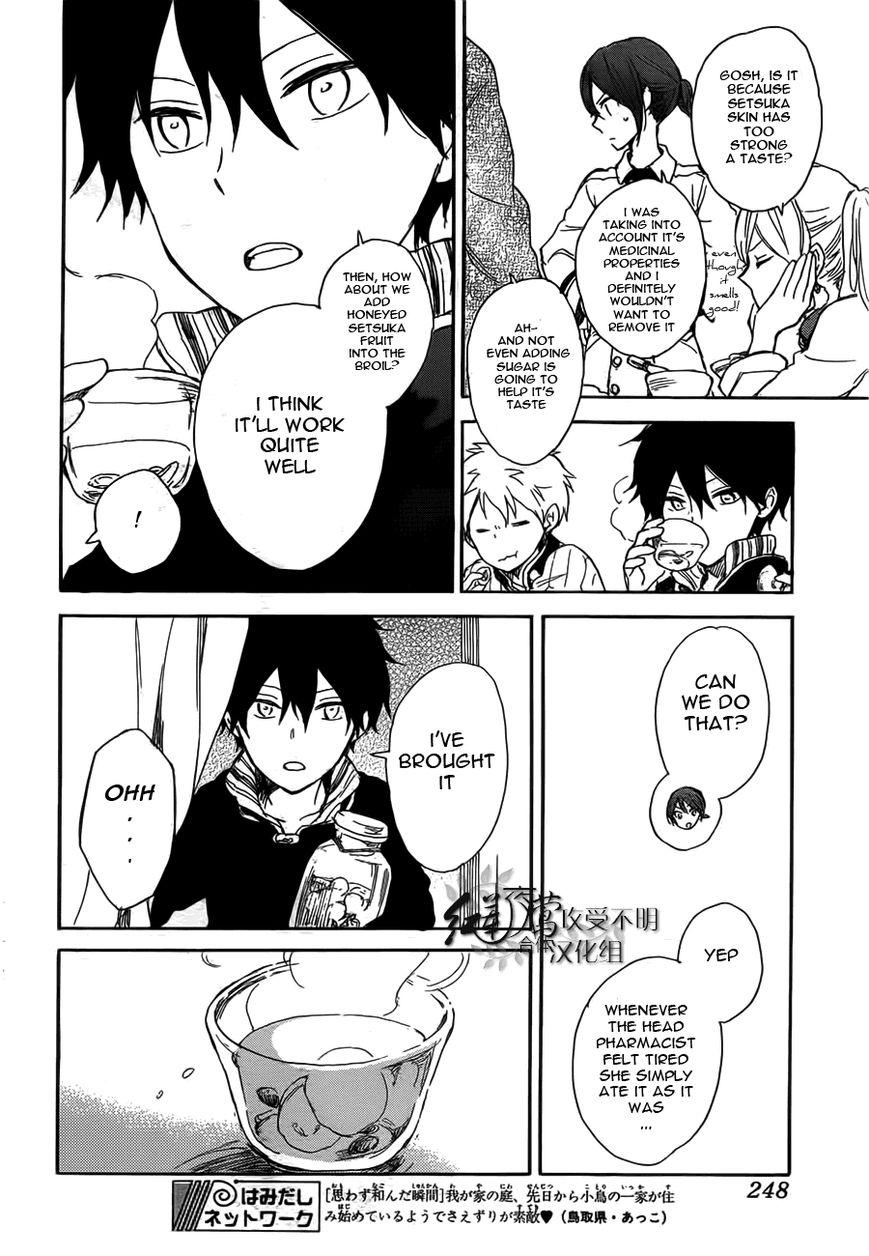 Akagami no Shirayukihime Chapter 45 page 27 - Chapter 45 : Visitors Arrive at the Castle