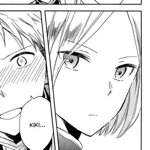 Akagami no Shirayukihime Chapter 49.1 : Special Side Story cover