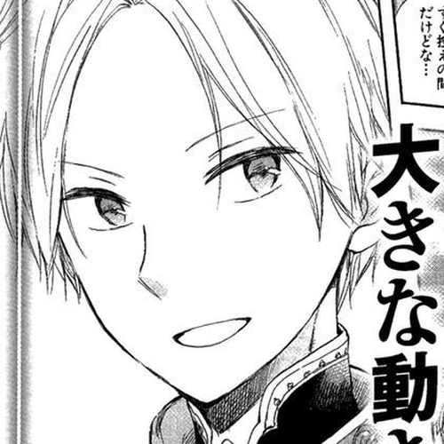 Akagami no Shirayukihime Chapter 49.2 : Extras cover