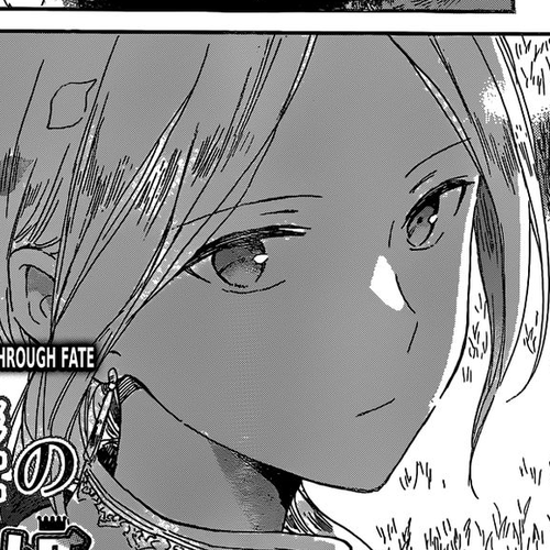 Akagami no Shirayukihime Chapter 93 : Vol 12 cover