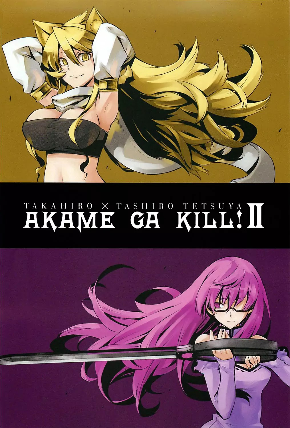 Akame ga Kill! Chapter 5 page 3 - Chapter 5 : Kill The Slasher