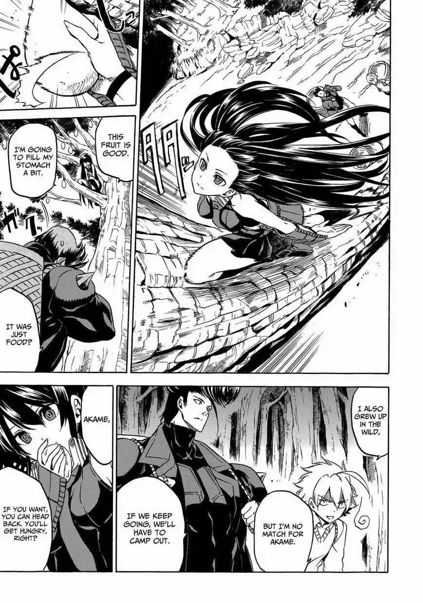 Akame ga Kill! Chapter 53.6 page 4 - Chapter 53.6: Extra 2 Kill the Mad Swordswan