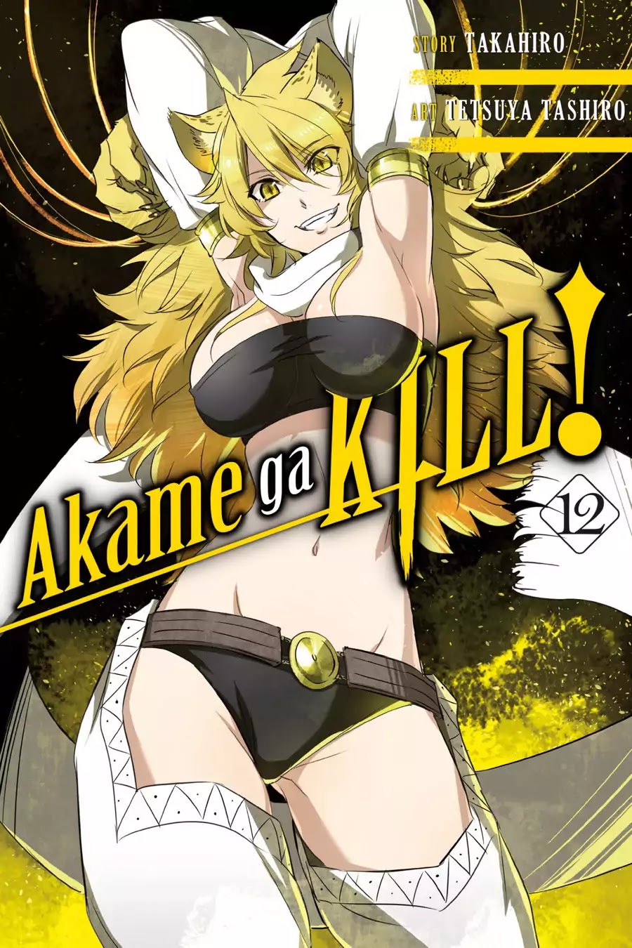 Akame ga Kill! Chapter 55 page 1 - Chapter 55: Kill The Two Strongest