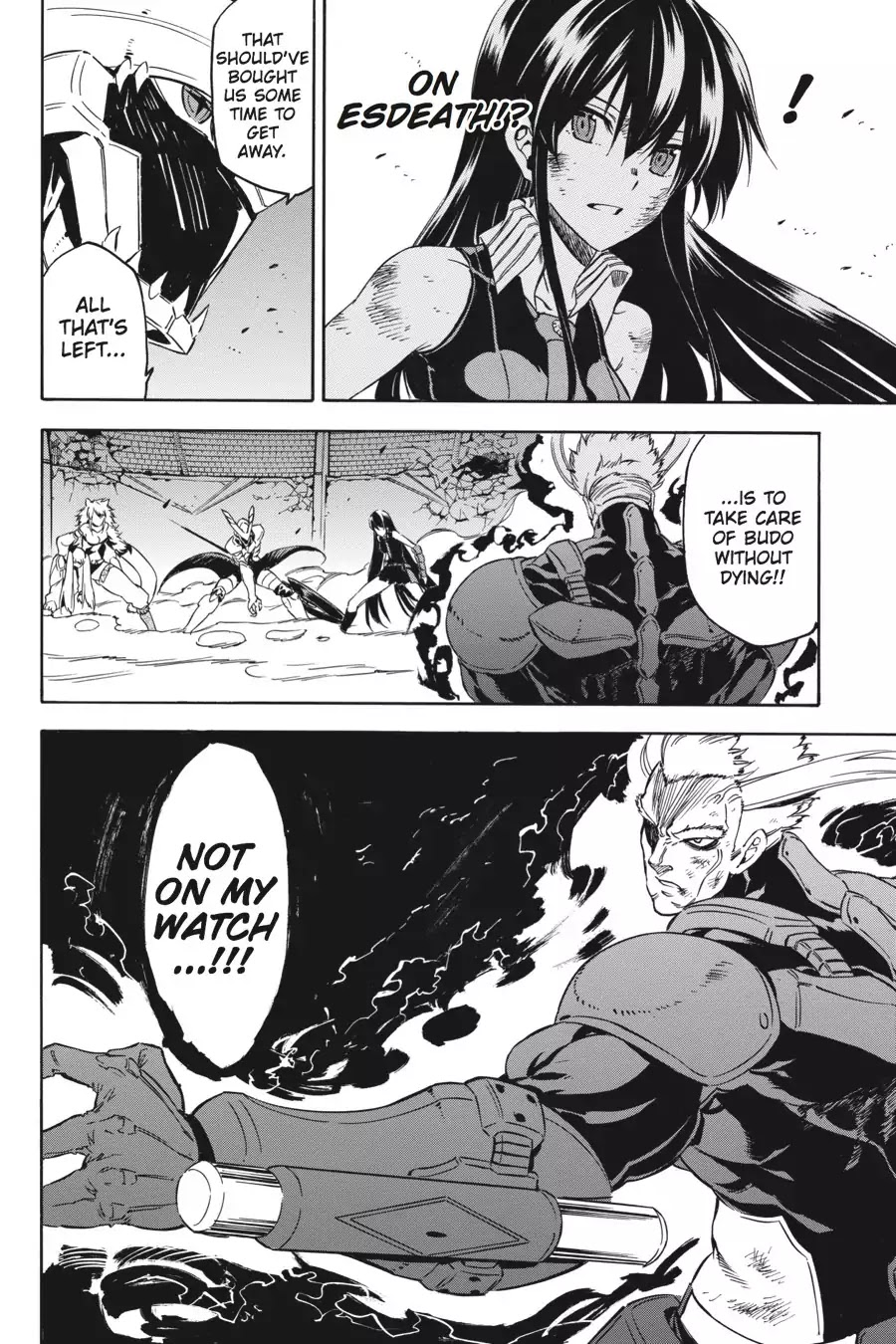 Akame ga Kill! Chapter 55 page 47 - Chapter 55: Kill The Two Strongest
