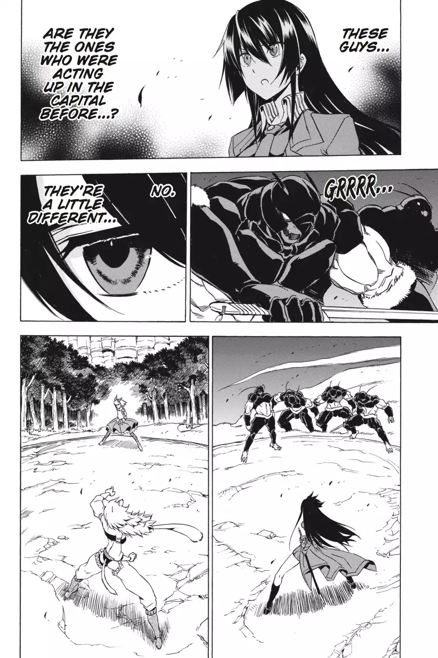 Akame ga Kill! Chapter 58 page 39 - Chapter 58: Kill The Skilled