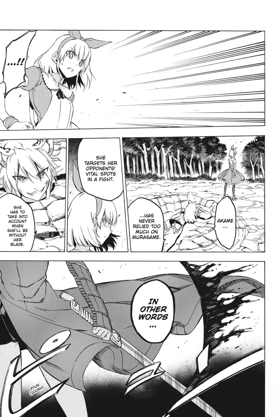 Akame ga Kill! Chapter 59 page 17 - Chapter 59: Kill The Assumptions