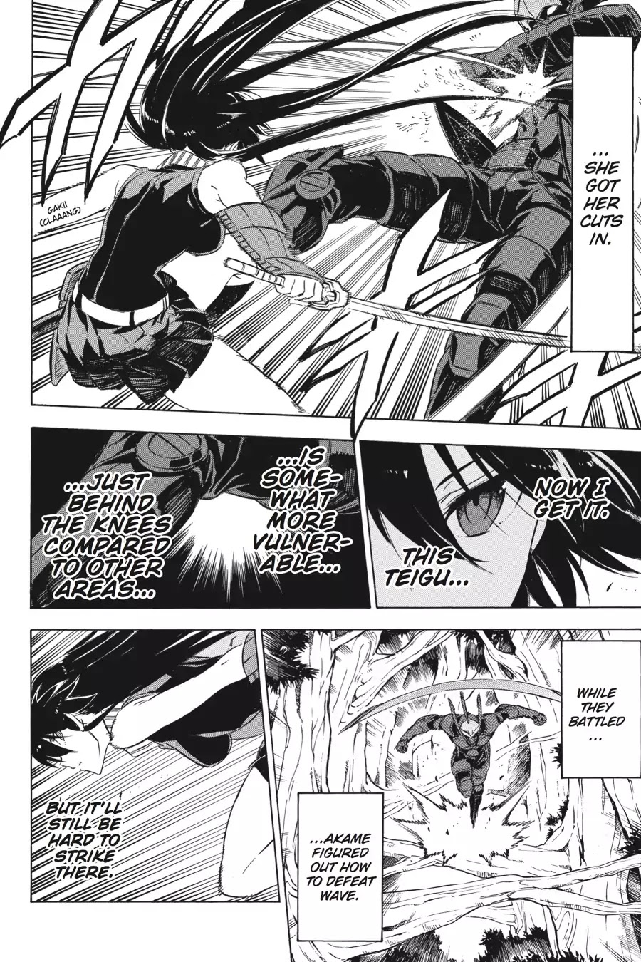 Akame ga Kill! Chapter 62 page 14 - Chapter 62: Kill The Past (Part 1)