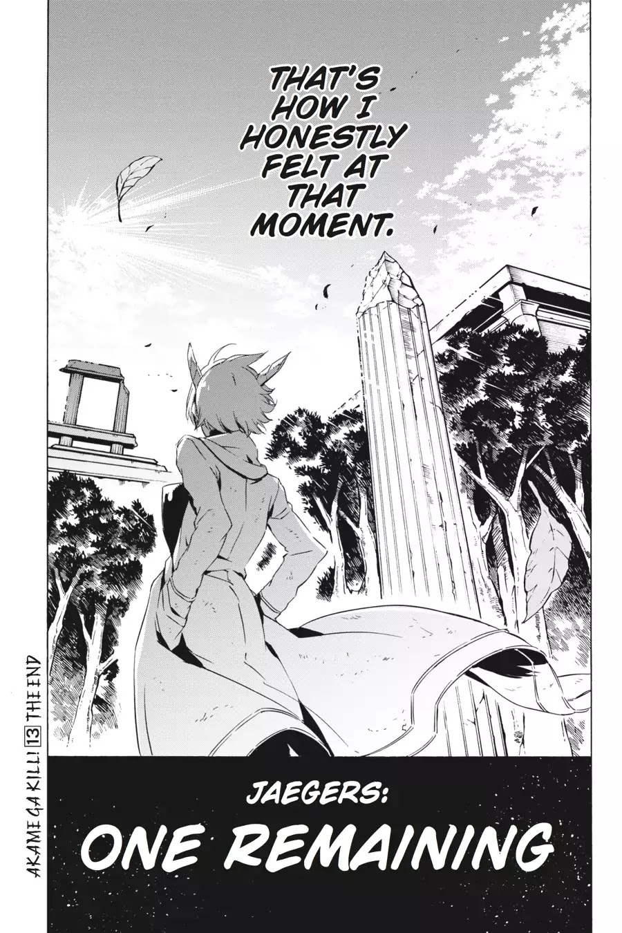 Akame ga Kill! Chapter 66 page 51 - Chapter 66: Kill The Fate