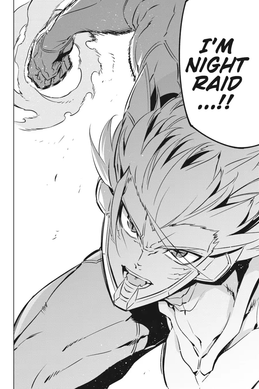 Akame ga Kill! Chapter 71 page 25 - Chapter 71: Kill The Archenemy