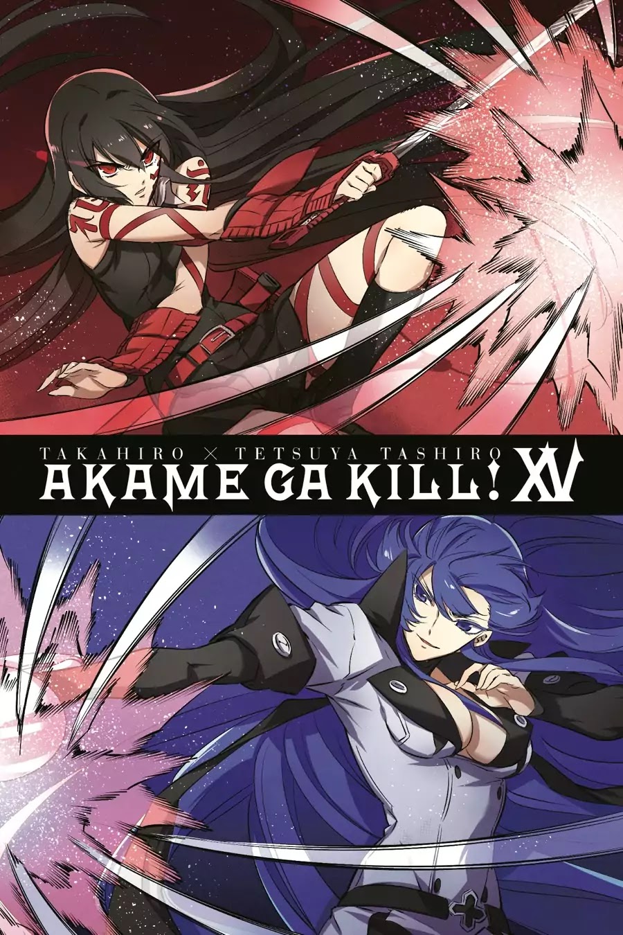 Akame ga Kill! Chapter 73 page 2 - Chapter 73: Kill The Supreme (Part I)