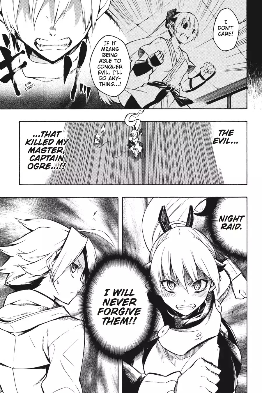 Akame ga Kill! Chapter 8 page 17 - Chapter 8: Kill the Evildoers