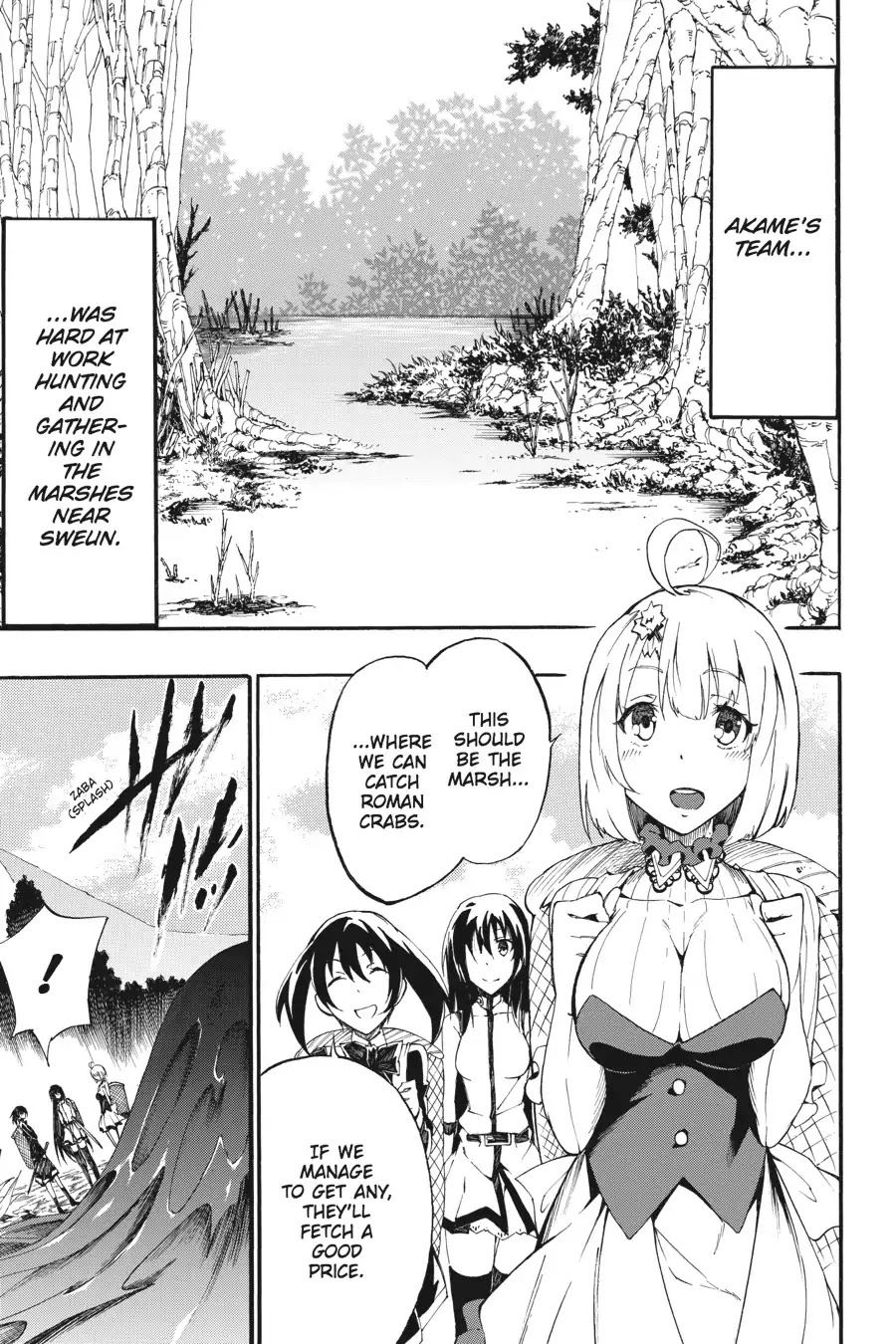 Akame ga Kiru! Zero Chapter 26 page 15 - Chapter 26: To Each His Own Love