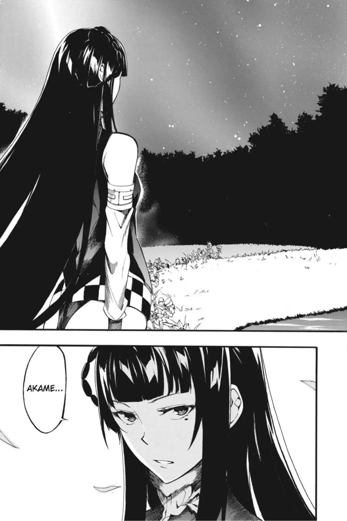 Akame ga Kiru! Zero Chapter 41 page 31 - Chapter 41: Melee Under Moonlight