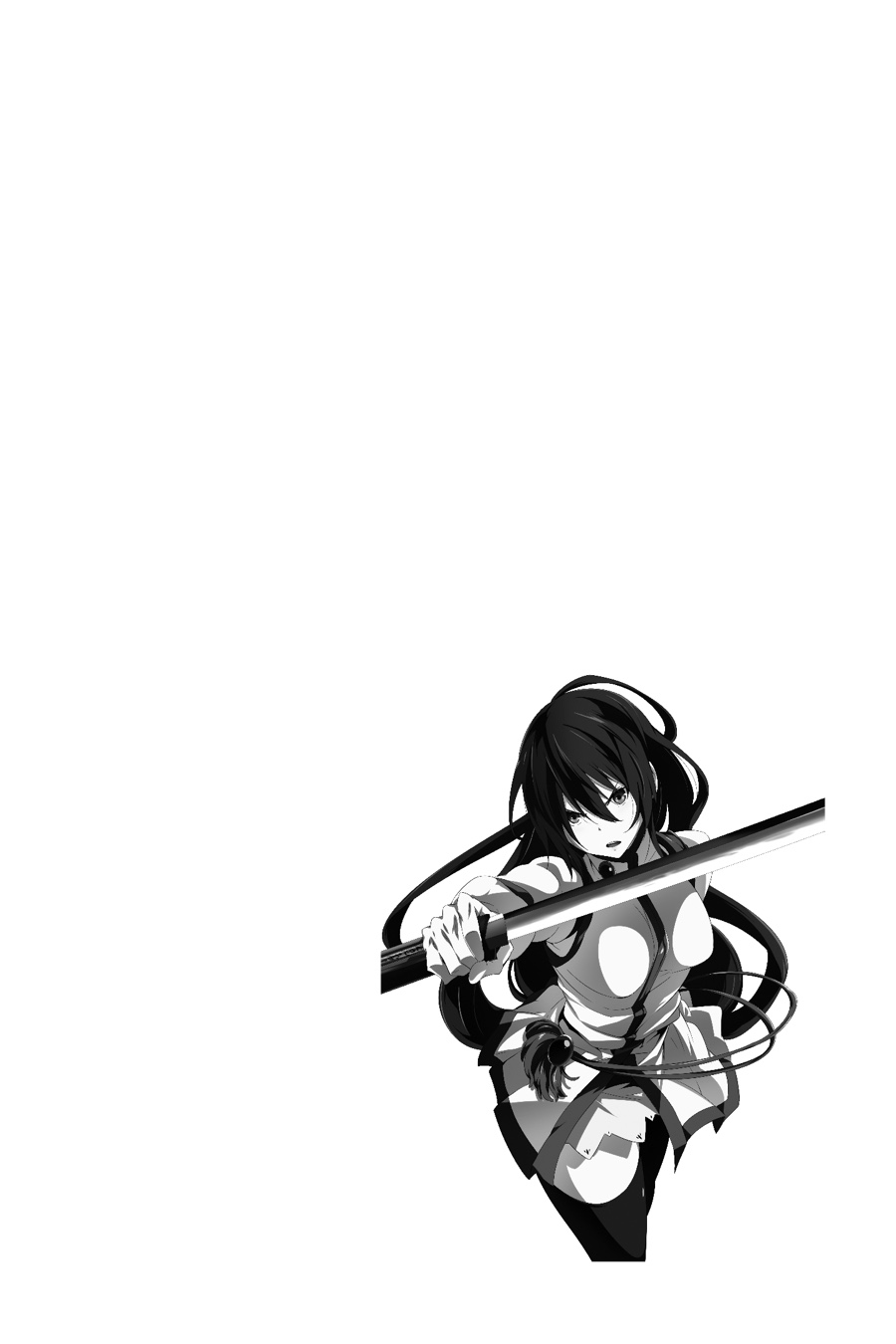 Akame ga Kiru! Zero Chapter 60 page 3 - Chapter 60 [END]