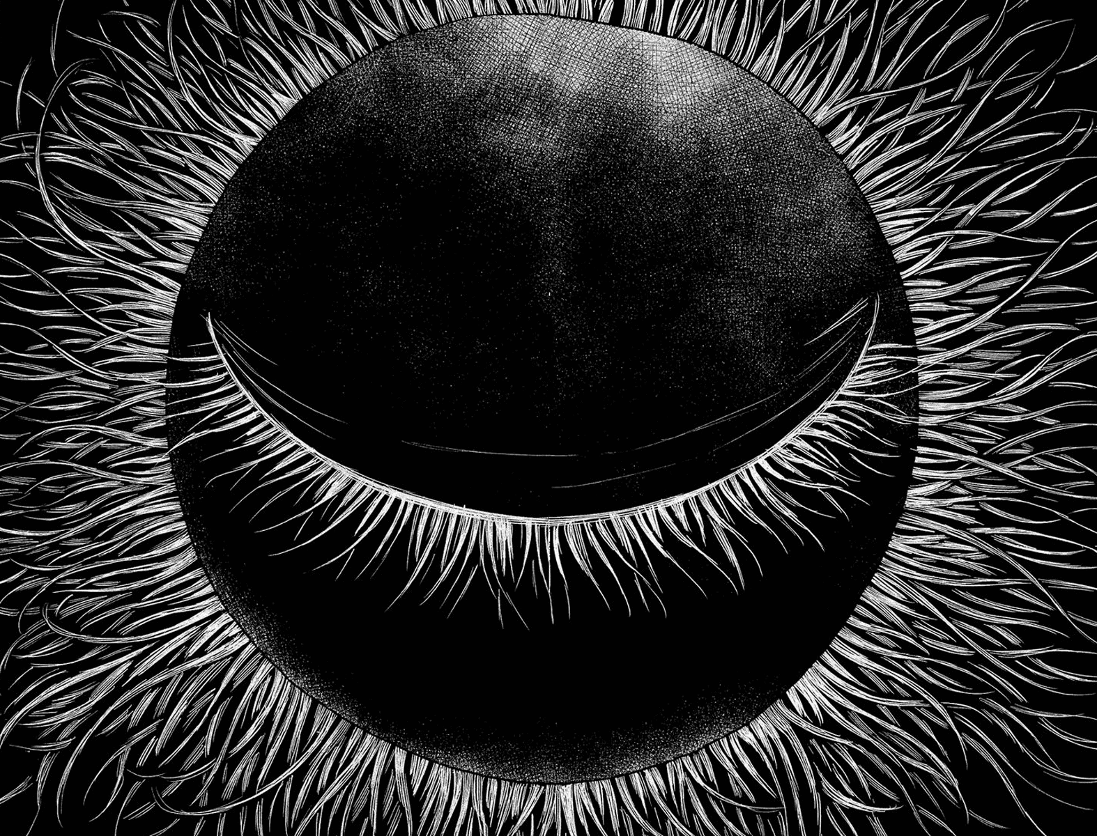 Aku no Hana Chapter 33 page 35 - Chapter 33: Those who can lift-off will be happy