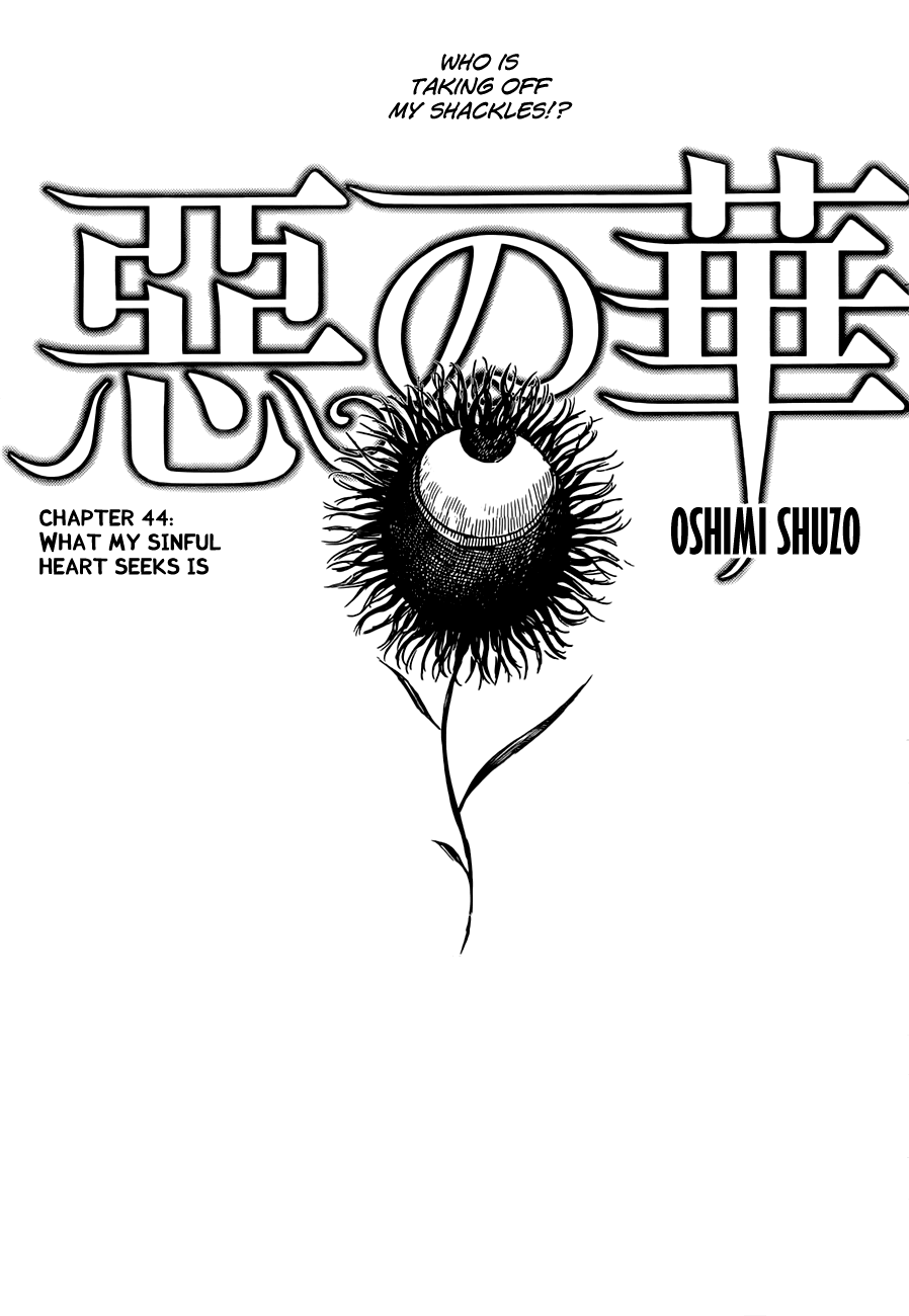 Aku no Hana Chapter 44 page 2 - Chapter 44: What my sinful heart seeks is