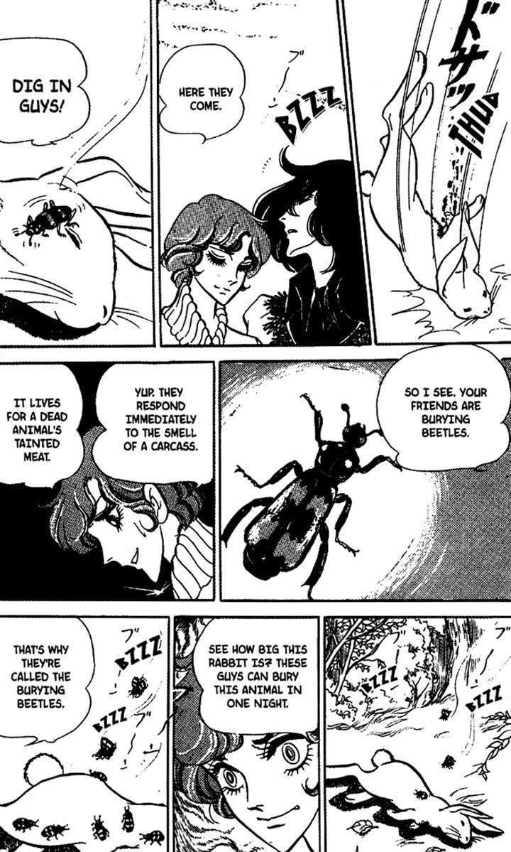 Akuma no Hanayome Chapter 25 page 8 - Chapter 25 : A Burying Beetle's Requiem