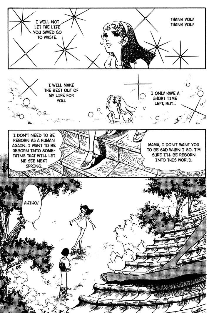 Akuma no Hanayome Chapter 30 page 32 - Chapter 30 : Life's Last Chapter