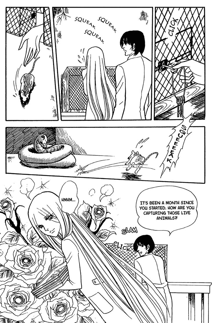 Akuma no Hanayome Chapter 42 page 12 - Chapter 42 : A Snake's Confession
