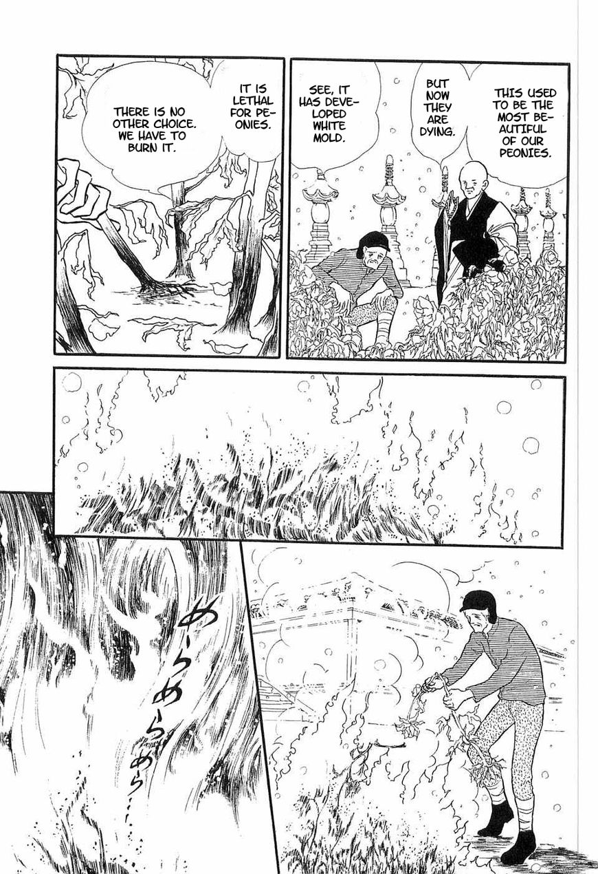 Akuma no Hanayome Chapter 49 page 31 - Chapter 49 : The Winter Peony