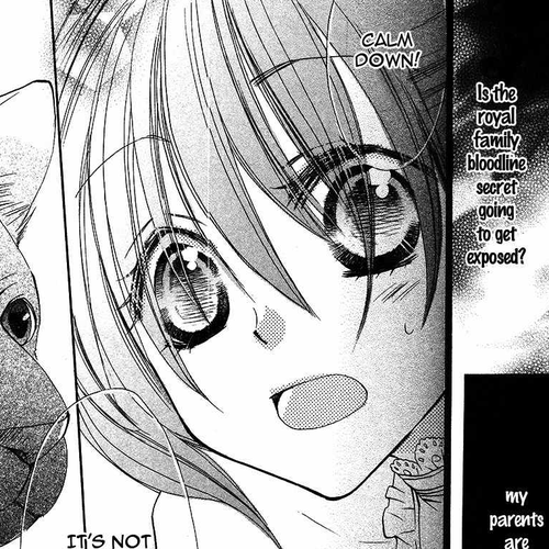 Akuma to Duet Chapter 4.5 cover