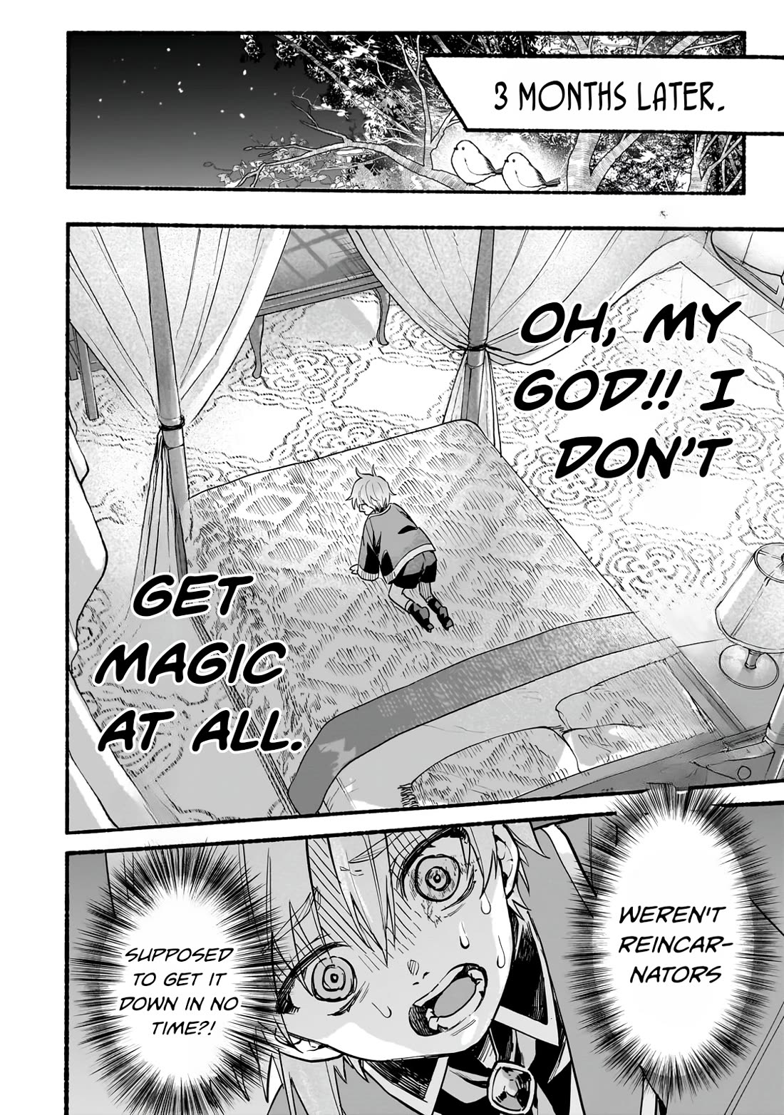 Aldo's Reincarnation in Another World Chapter 2 page 31 - Chapter 2: Mana Resonance