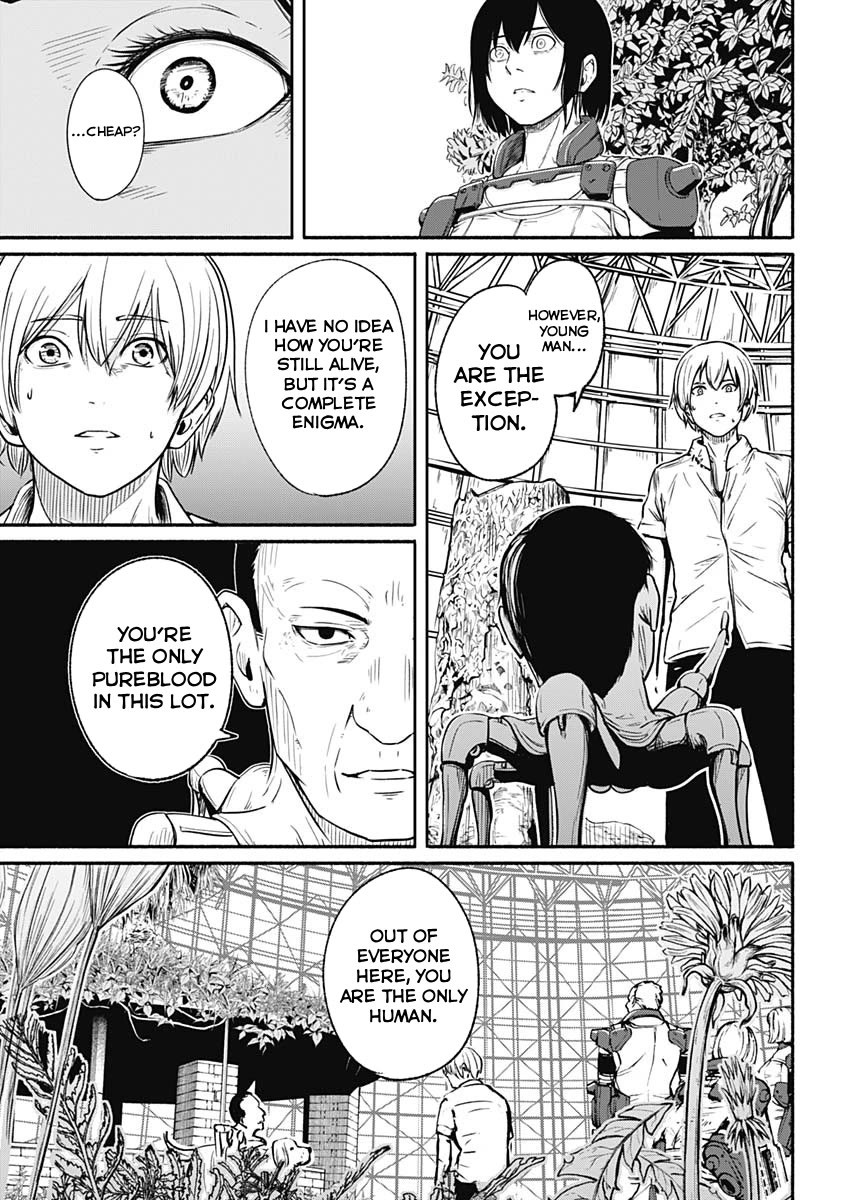 Alma (Shinji Mito) Chapter 24 page 11 - Chapter 24: Pureblood
