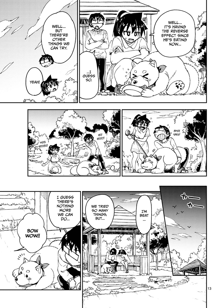 Amano Megumi wa Suki Darake! Chapter 118 page 13 - Chapter 118: Just like his owner...