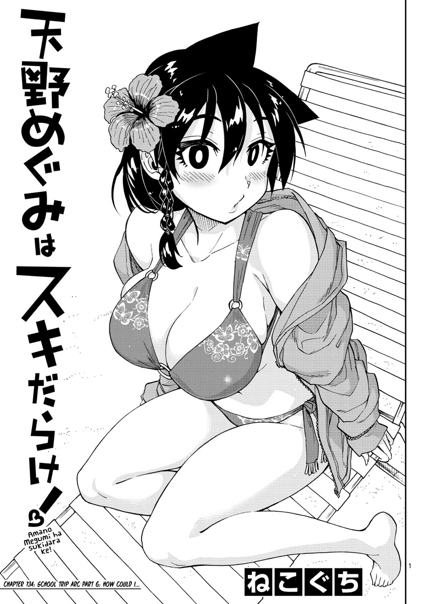 Amano Megumi wa Suki Darake! Chapter 134 page 1 - Chapter 134: School trip arc Part 6: How could I...