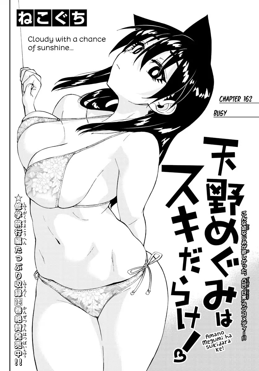 Amano Megumi wa Suki Darake! Chapter 162 page 2 - Chapter 162: Busy