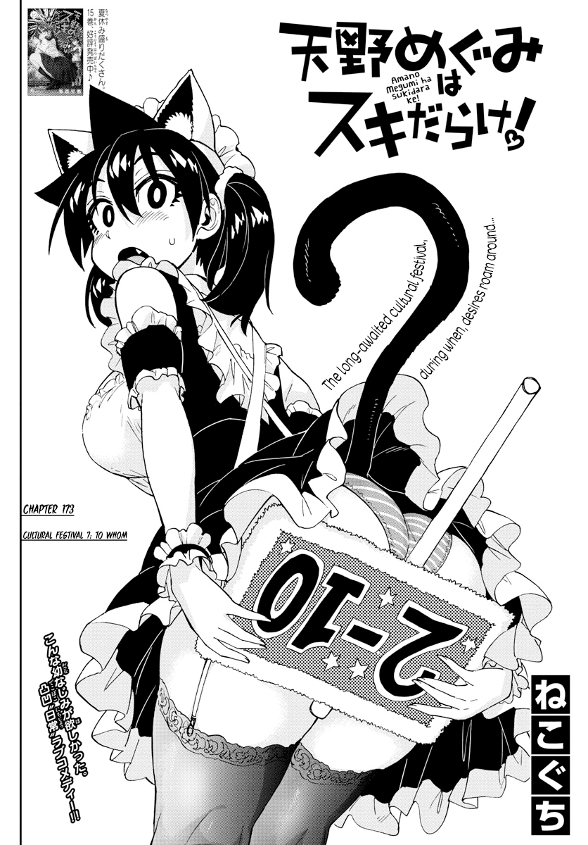Amano Megumi wa Suki Darake! Chapter 173 page 2 - Chapter 173: Cultural Festival 7: To Whom