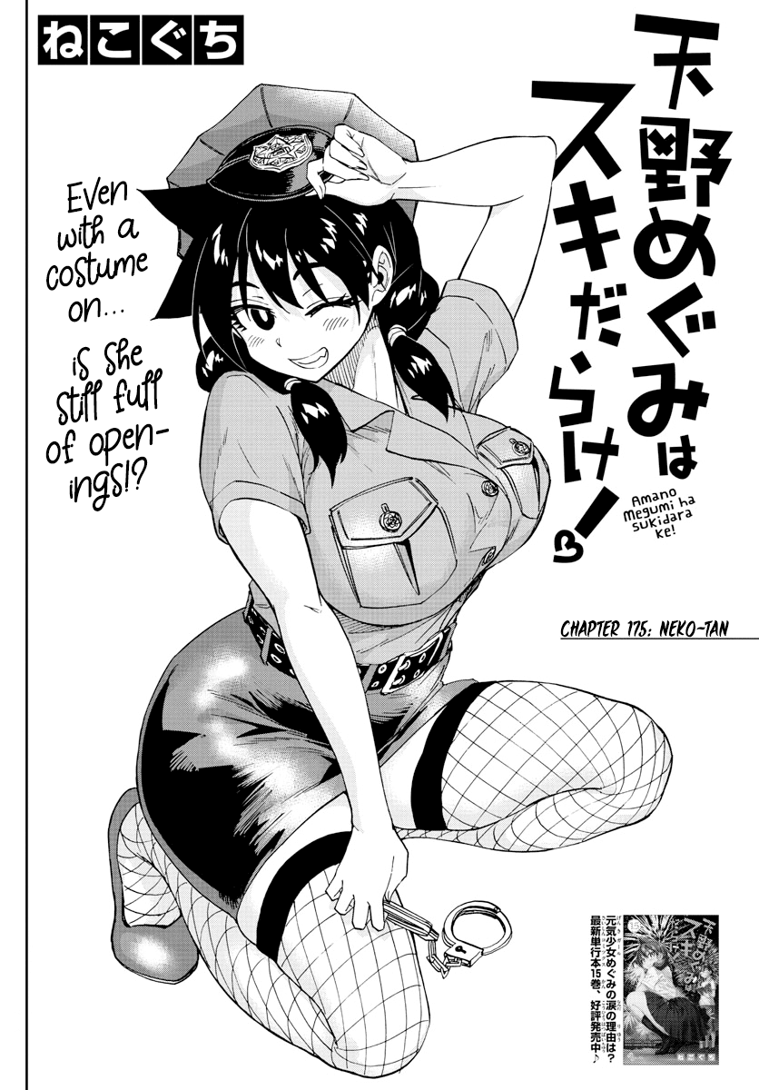 Amano Megumi wa Suki Darake! Chapter 175 page 2 - Chapter 175: Neko-tan