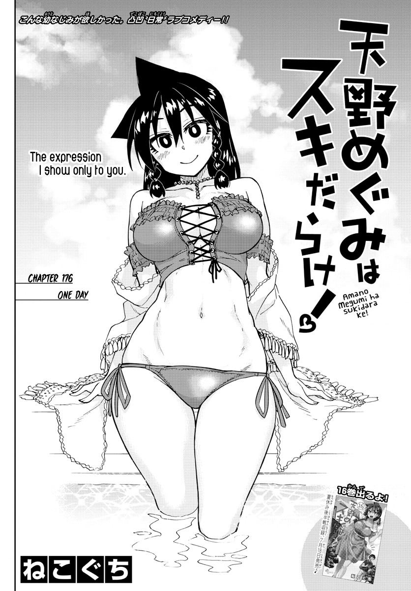 Amano Megumi wa Suki Darake! Chapter 176 page 2 - Chapter 176: One Day