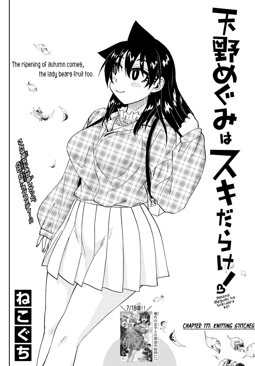 Amano Megumi wa Suki Darake! Chapter 177 page 2 - Chapter 177: Knitting Stitches