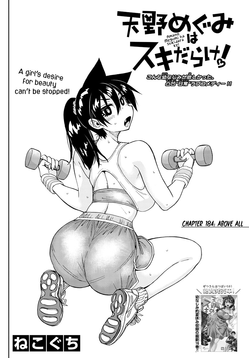 Amano Megumi wa Suki Darake! Chapter 184 page 2 - Chapter 184: Above All