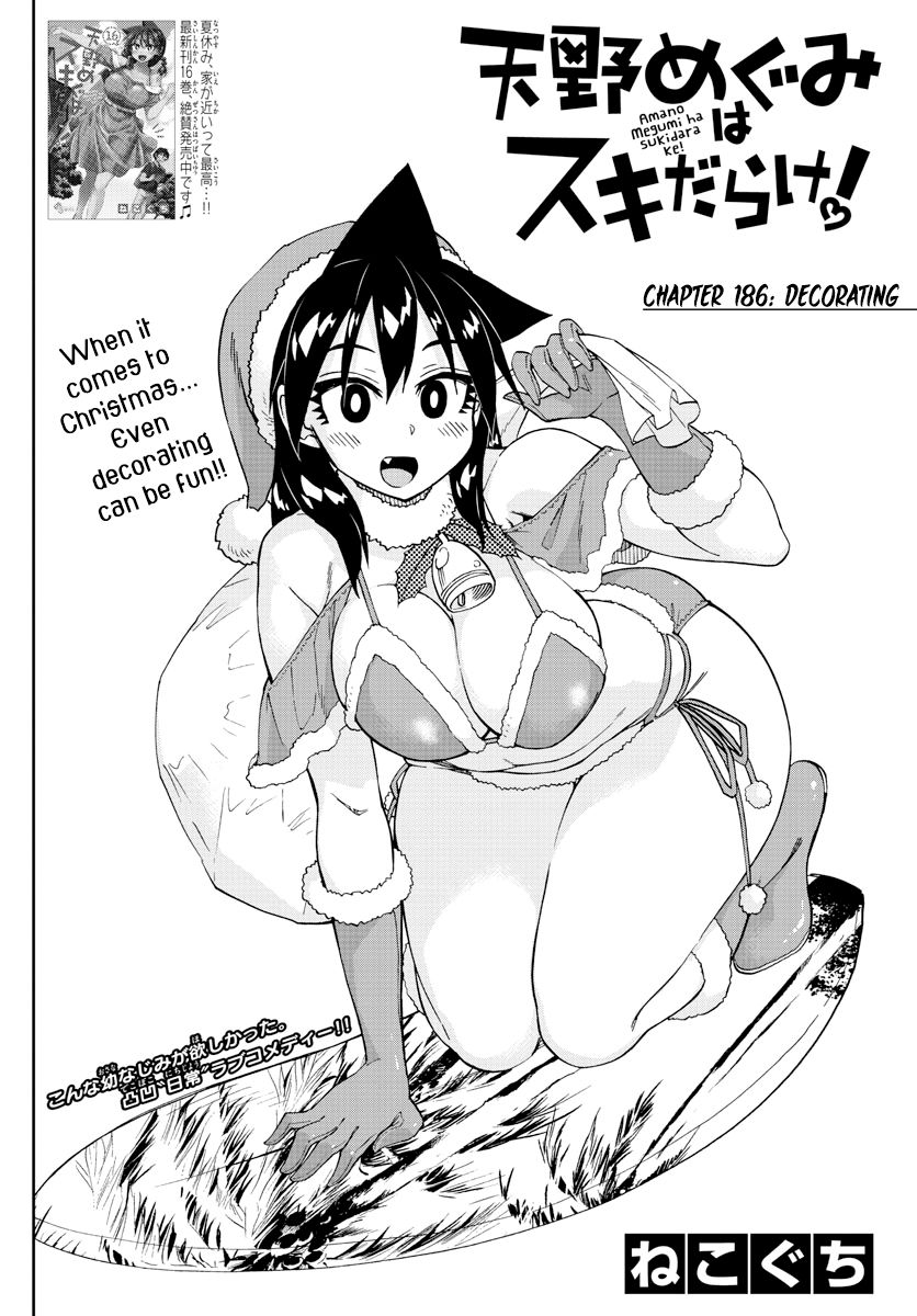 Amano Megumi wa Suki Darake! Chapter 186 page 2 - Chapter 186: Decorating