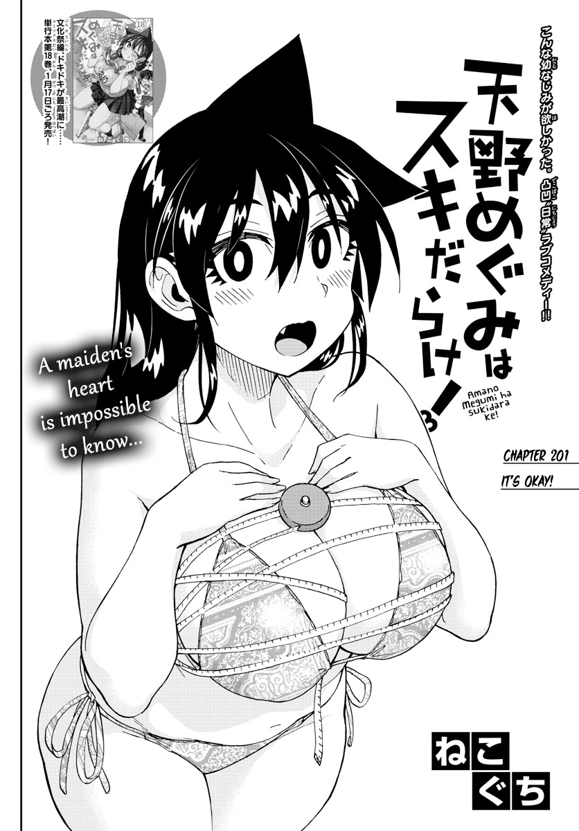 Amano Megumi wa Suki Darake! Chapter 201 page 2 - Chapter 201: It's Okay!