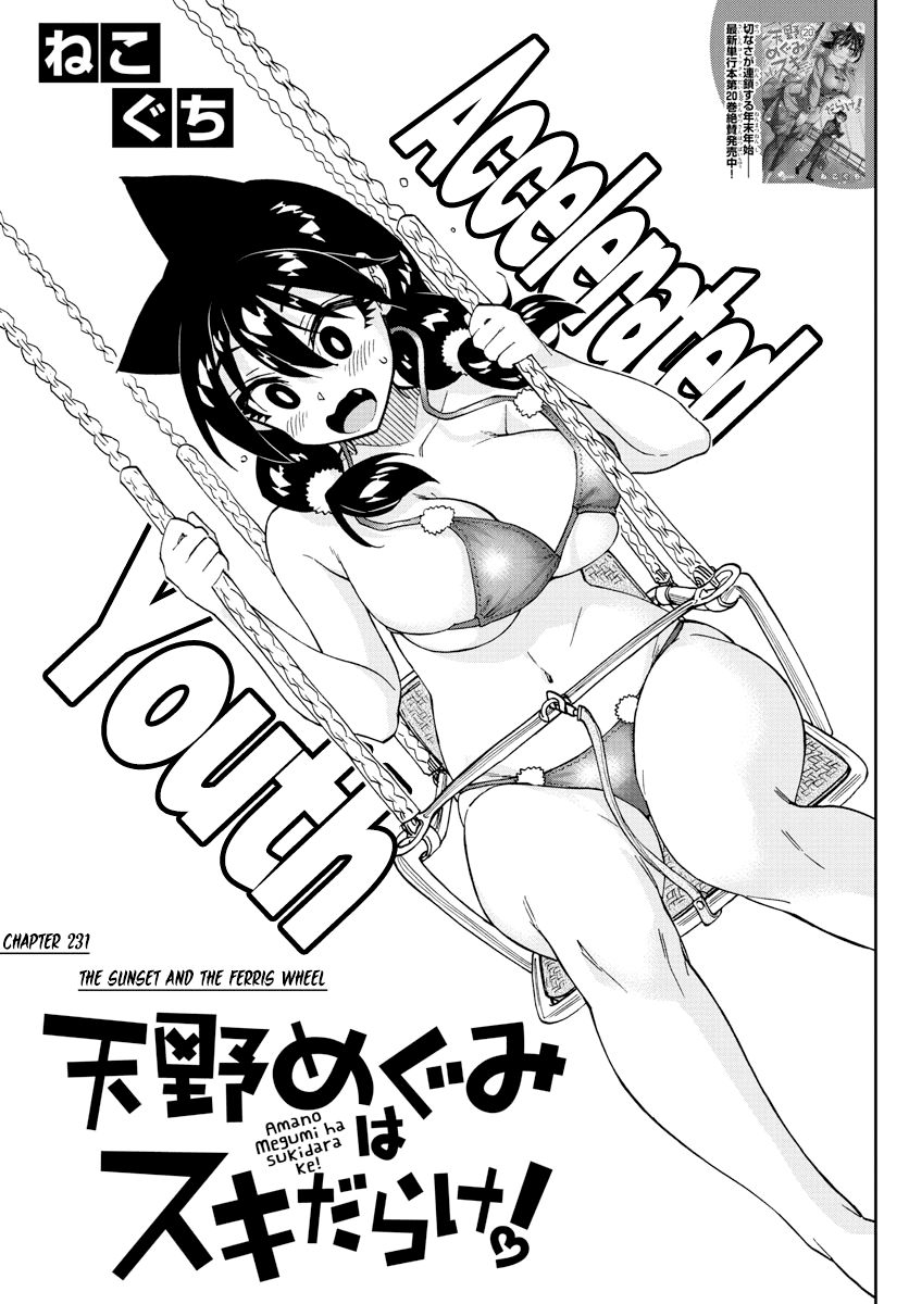 Amano Megumi wa Suki Darake! Chapter 231 page 3 - Chapter 231: The Sunset And The Ferris Wheel