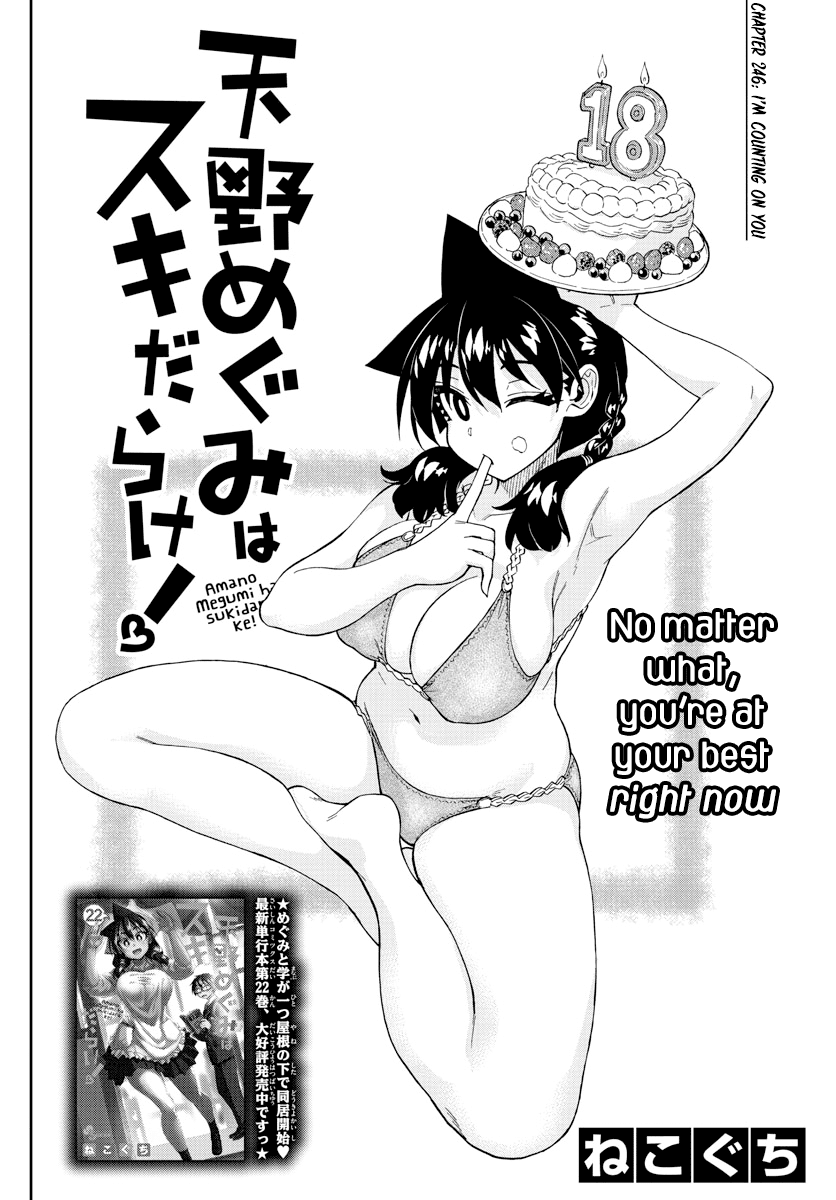 Amano Megumi wa Suki Darake! Chapter 246 page 2 - Chapter 246: I'm Counting On You