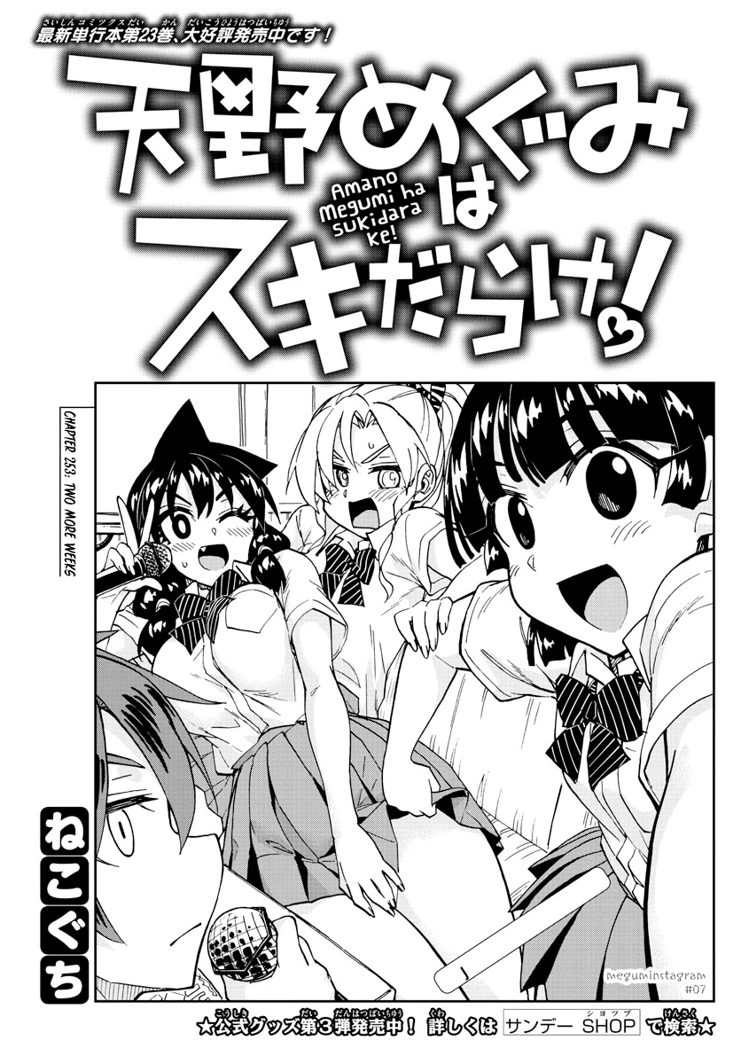Amano Megumi wa Suki Darake! Chapter 253 page 3 - Chapter 253: Two More Weeks