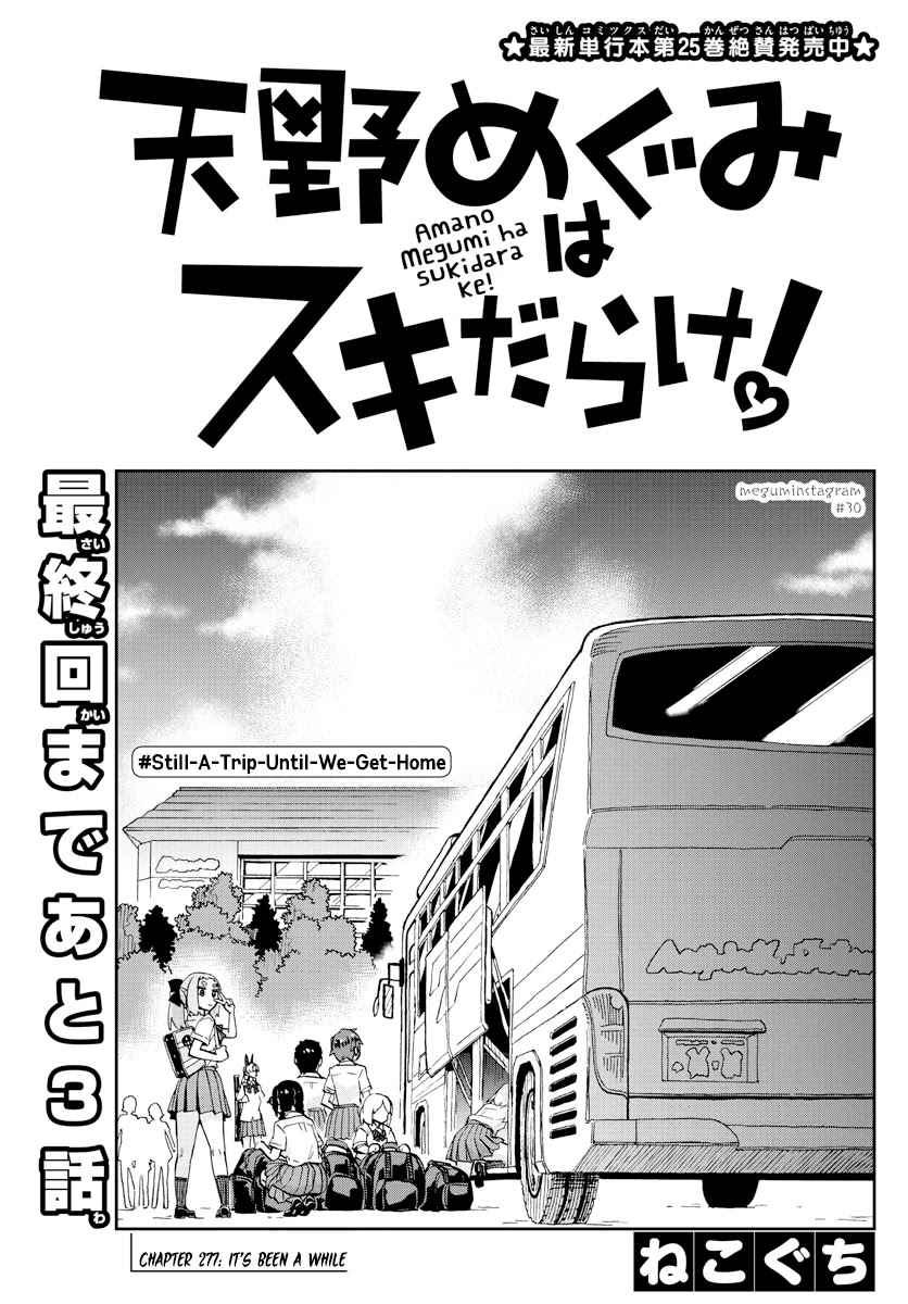 Amano Megumi wa Suki Darake! Chapter 277 page 3 - Chapter 277: It's Been A While