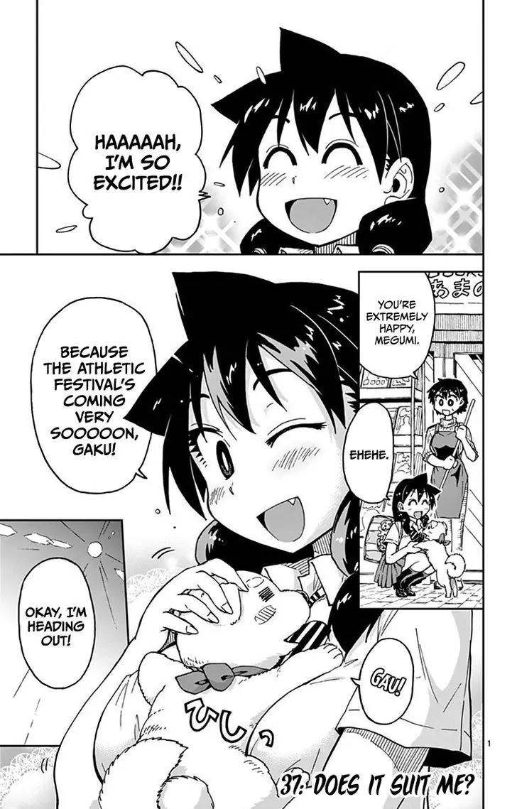 Amano Megumi wa Suki Darake! Chapter 37 page 1 - Chapter 37: Does It Suit Me?