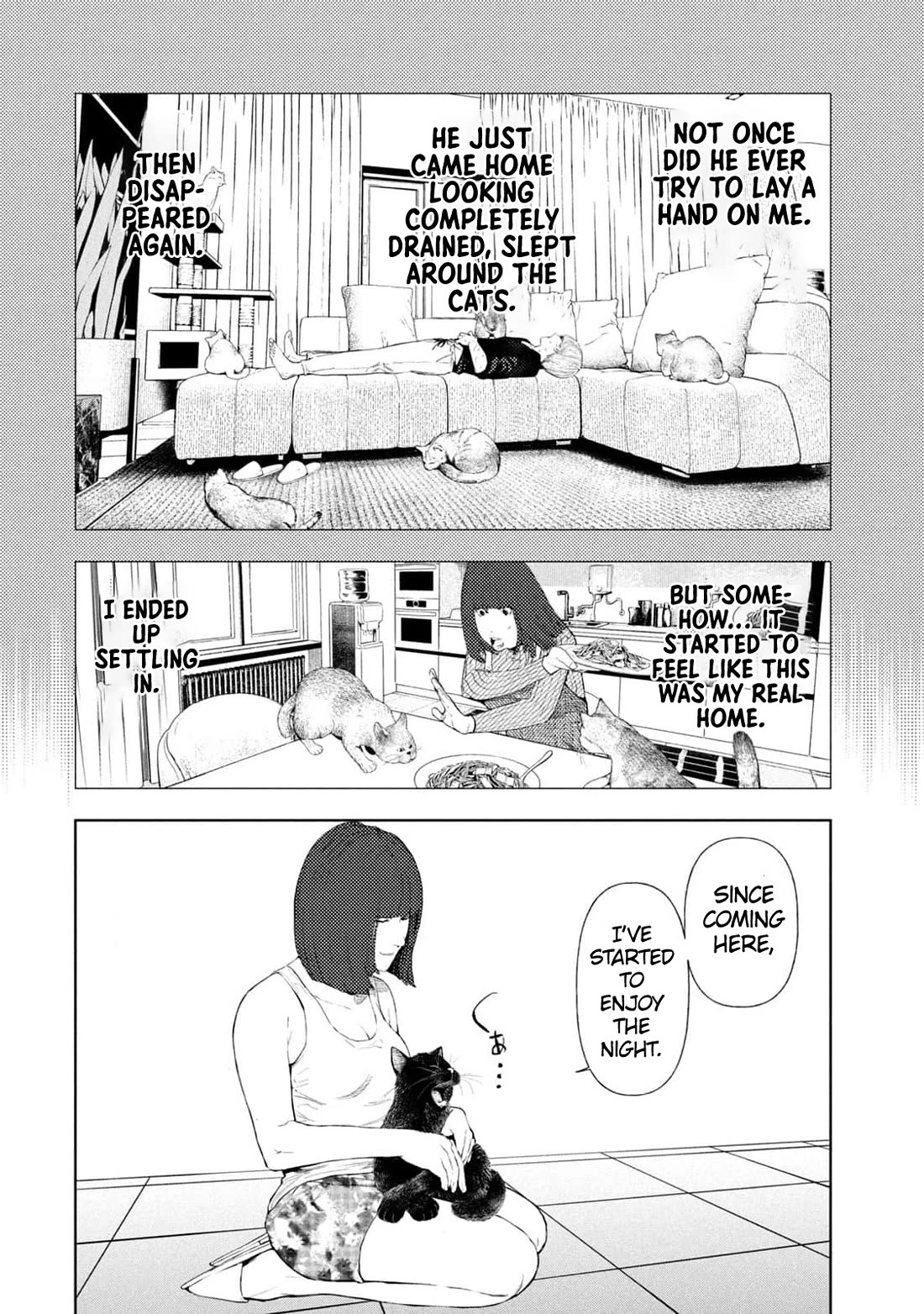 Amateur Vigilante Chapter 13 page 12 - Chapter 13: Night And Cats