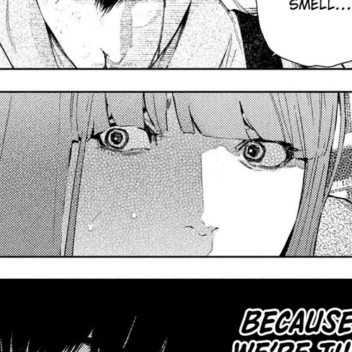 Amateur Vigilante Chapter 67: Bomber cover