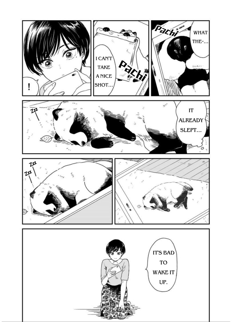 Ame to Kimi to Chapter 9 page 3 - Chapter 9: Chance (to take photos)