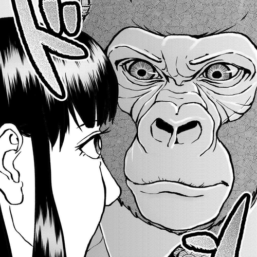 An Extremely Attractive Gorilla Chapter 11: Gorilla vs. Kiwako-sama cover