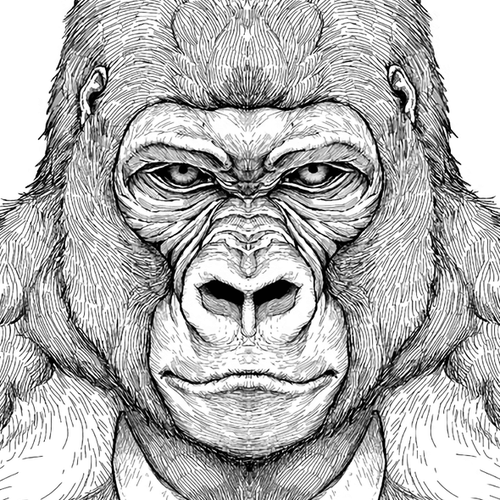 An Extremely Attractive Gorilla Chapter 6: The Transfer Student cover