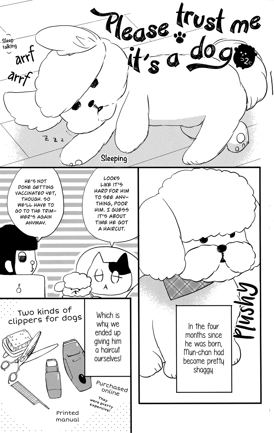 Anagura Amelie Chapter 12 page 28 - Chapter 12